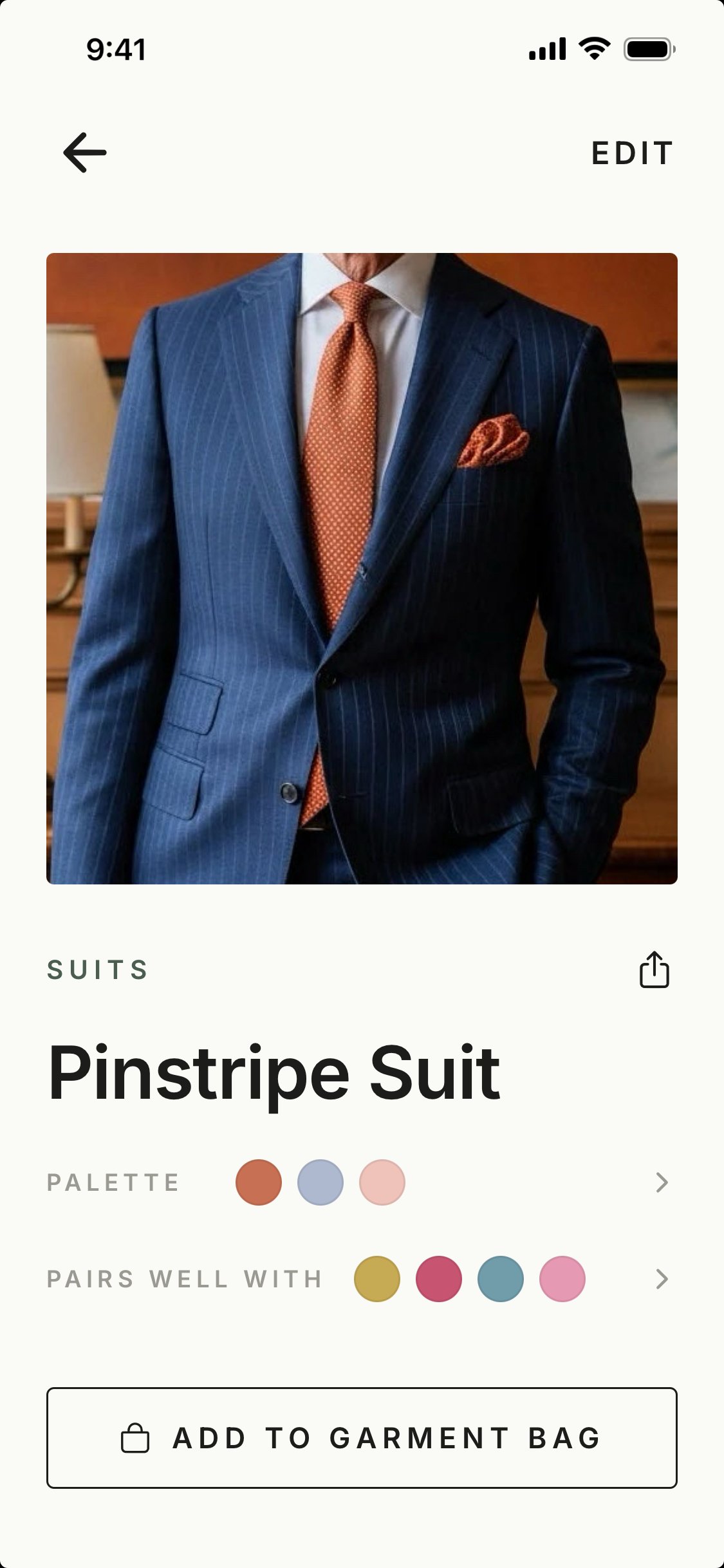 Hanger Item Detail showing palette and pairings